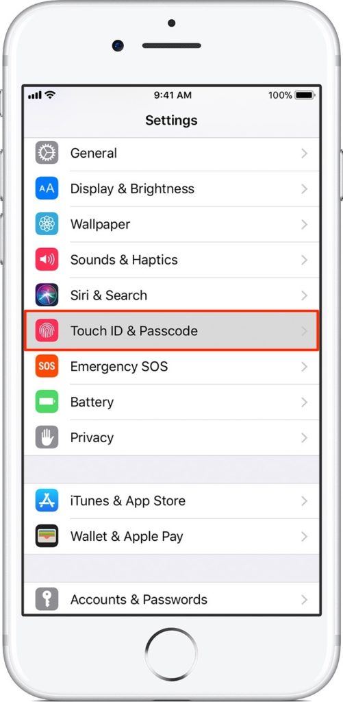 iOS Touch ID & lösenord
