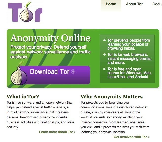 Imagen del navegador Tor