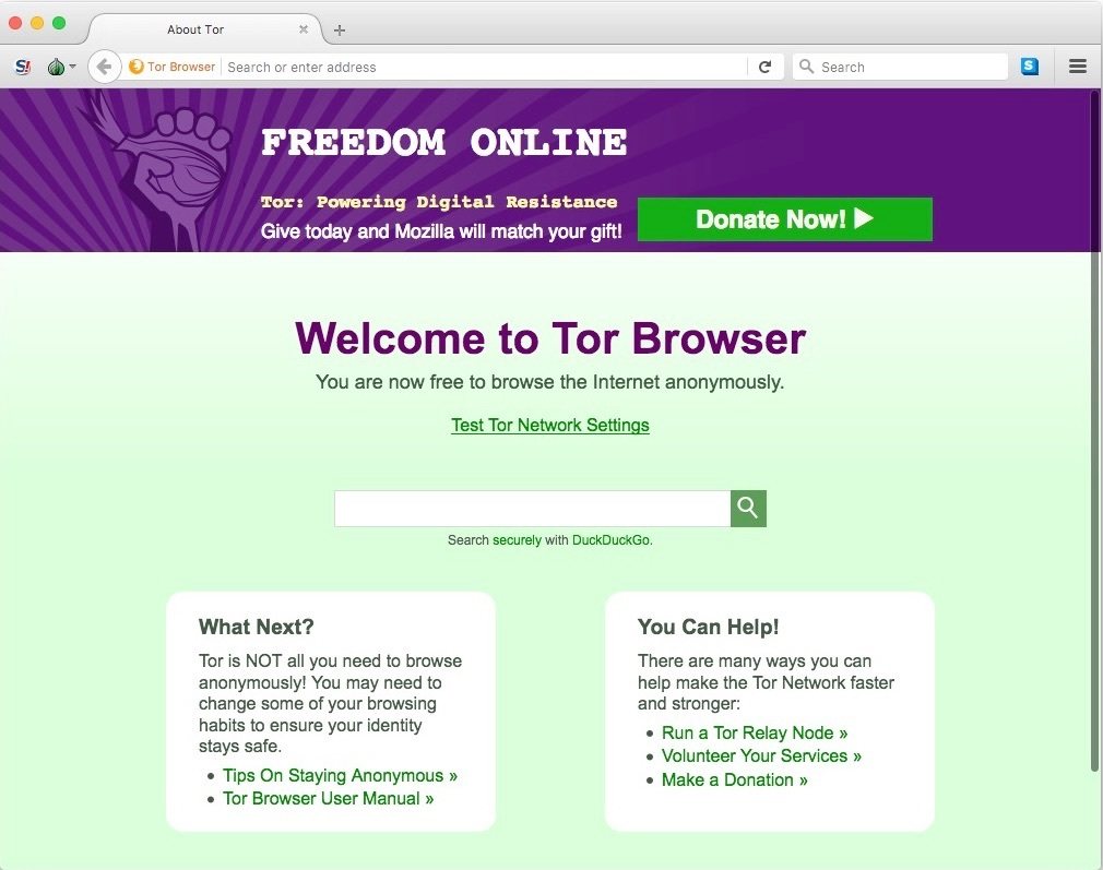 tor browser home page hydra2web